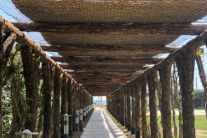 Ahşap Pergole üzeri hasır kaplama